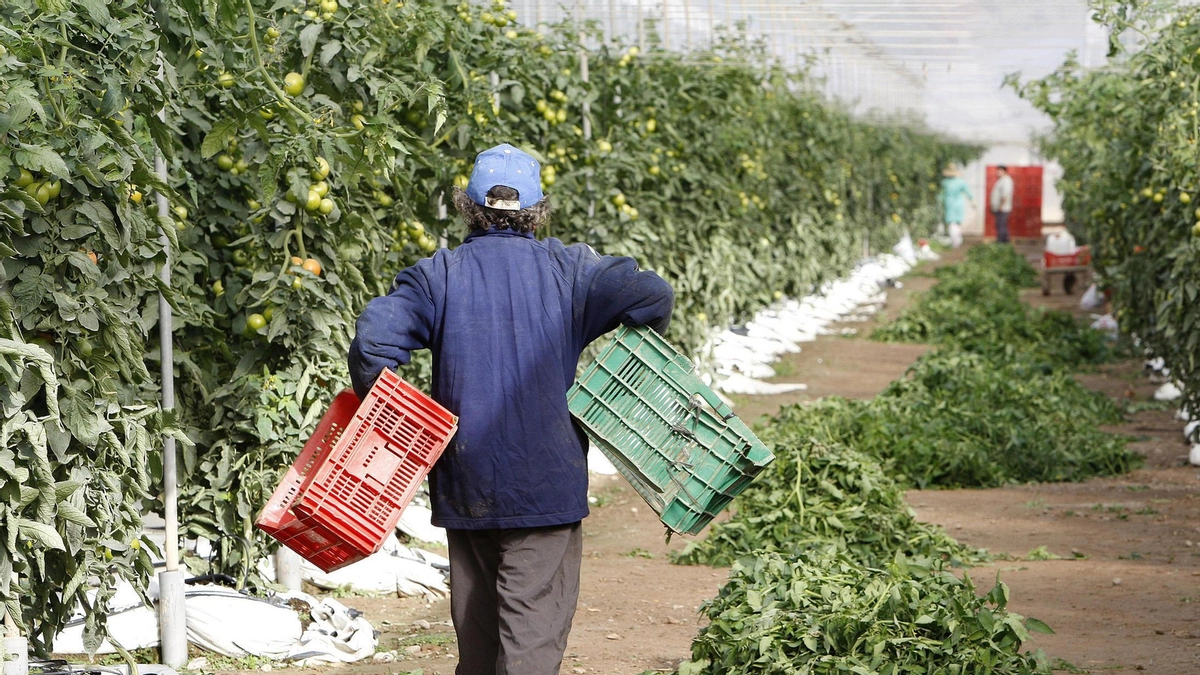 Entra en vigor el nuevo Convenio Colectivo del Campo de Almería 2024/2026